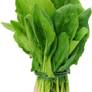 पालक १ नग